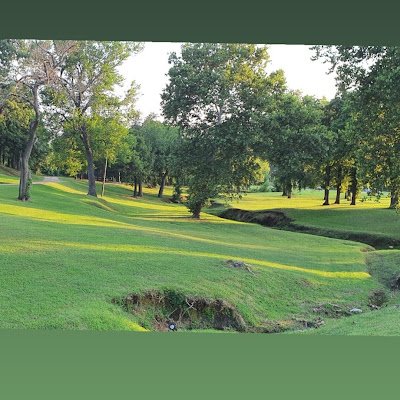 MMgbemene's profile picture. 