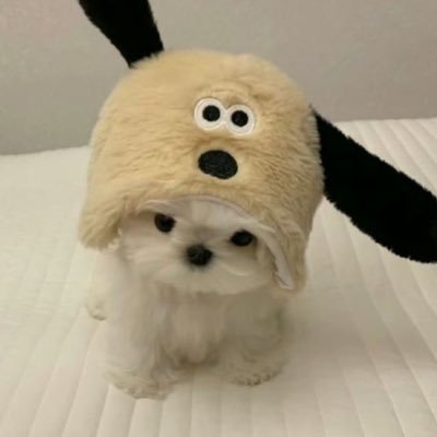 matchazun_'s profile picture. 