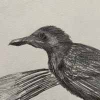 ライズマン(UZZ40) (@2023uzz40) 's Twitter Profile