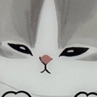 うわ〜〜〜! (@wanryok) 's Twitter Profile
