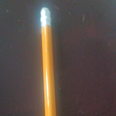 patrullarojax's profile picture. 