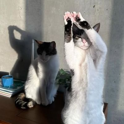 _nooriem's profile picture. MS4