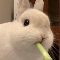 ๐ ๐ ๐ ๐ ๐ (@lxqnn__) 's Twitter Profile
