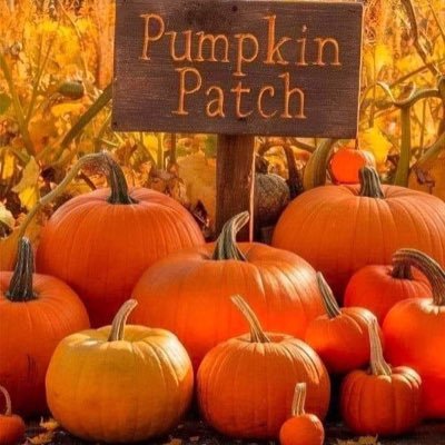 sweettiger1979's profile picture. south Texas sweet Catholic cowboy