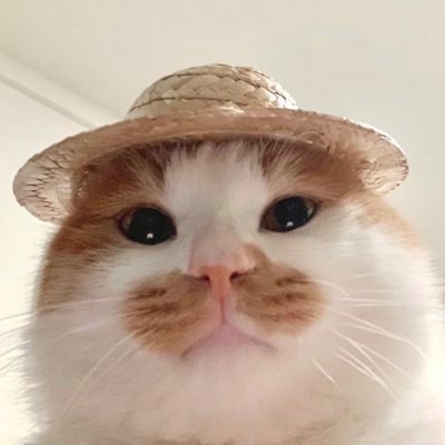 ももさんのプロフィール画像