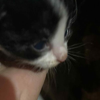 Y00Fan65418's profile picture. 