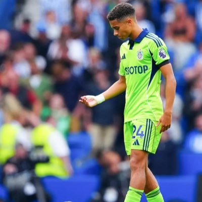 thomasffc541's profile picture. Fulham FC, Texas Rangers, TCU