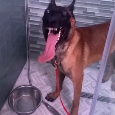 Liriodoval3's profile picture. ^^ Luka HE/HIM !