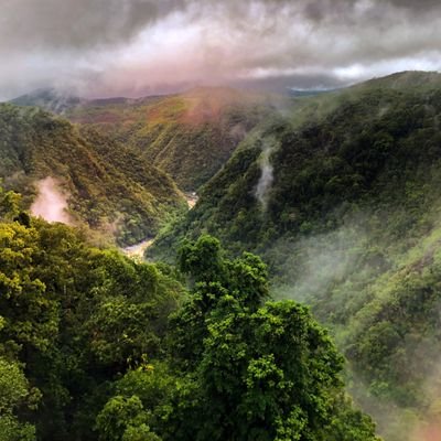 patel_Drmk's profile picture. MD Kayachikitsa
ITRA
सा विधा या विमुक्तये ।