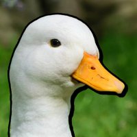 Quacksuedits (@quacksuedits) 's Twitter Profile