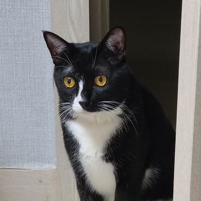 vstavi0's profile picture. 잡덕+알티 많이 합니다. 소설 위주