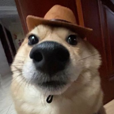 0xCold_'s profile picture. security research idk