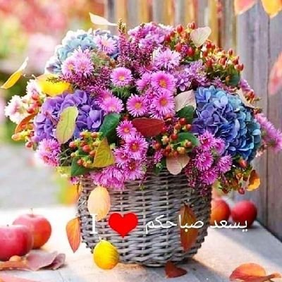 rasheethalraya1's profile picture. 