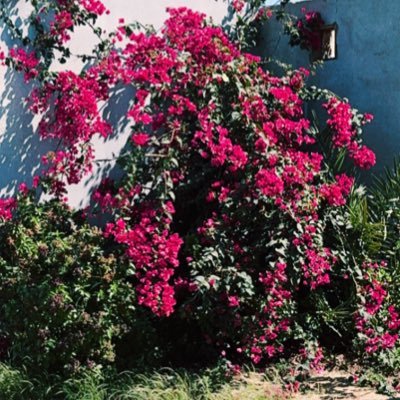 AbwnajyAlmjnwny's profile picture. الحمدلله على كل حال