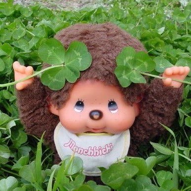 hapihapiotaku's profile picture. 