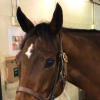 Gamblwr 🏇 (@modi_operandi) 's Twitter Profile Photo Gamblwr 🏇 (@modi_operandi) 's Twitter Profile Photo