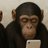 toni_rodrigues's profile image