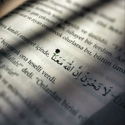 NiloofarMu93404's profile picture. 