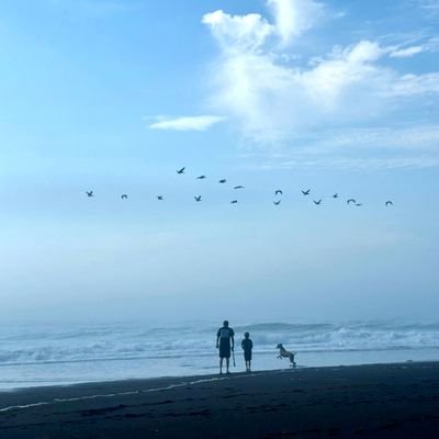 Oregon Ducks🦆Bang Bang Niner Gang🏆🏆🏆🏆🏆Rip City🟥⬛️⬜️NY Yankees⚾️ PGA🤝LIV⛳️ Whitewater River Runner🛶Bbq💨 #Soberlife 🇺🇲