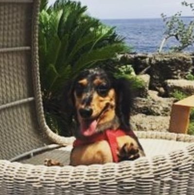 🇮🇹 30+, 5hawol, 二次元 enthusiast, veteran figure skating ☆fake fan☆, sentimental rotten auntie. some R18/nsfw content. 🏳️🌈