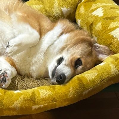 4k56Y28qvN97360's profile picture. 