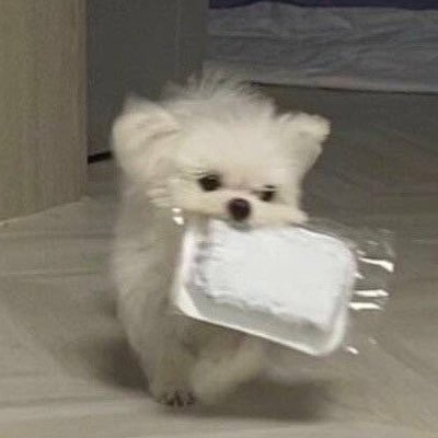 mo0ng_chu's profile picture. 말이 좋아 외로운 영웅이지