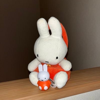 popcorn_pin's profile picture. miffyに埋もれたい🥱