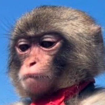 stevygonzales's profile picture. i exist