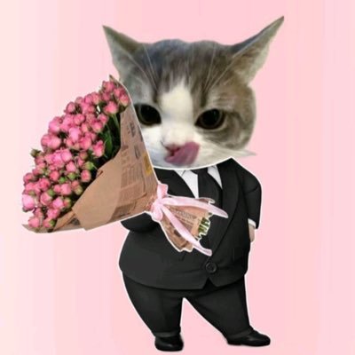 syf4shkr's profile picture. 