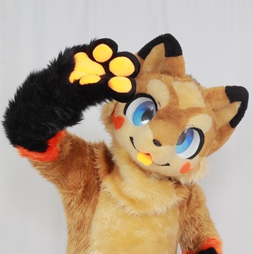 着ぐるみ好きなケモナーの日常垢/FS-RHK様(@Fursuit_RIHAKU)から十字キツネのアモンをお迎えしました!🦊🐾 アイコンはみそしるさん(@misosiru1026)📷/ヘッダーはメルんぱん先生( @merunmohu)に描いてもらいました