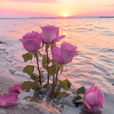 idksra7a's profile picture. 