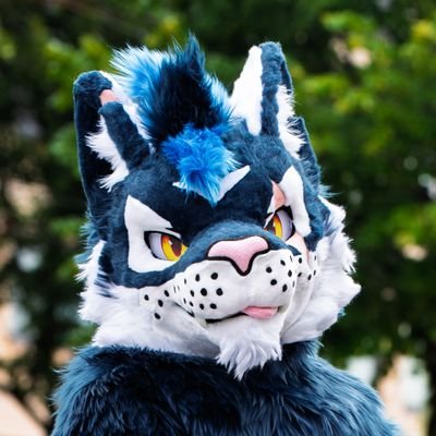 🇫🇷/🇪🇸 - Kitty - Pup - NSFW - 32 - Single - i run @murrtube - Suits : Lacy and @99Daley - TG huffy channel : https://t.co/JsBB5tED5X #CuteButBrutal