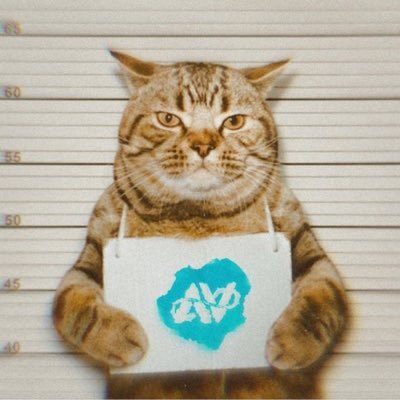 AV8 Jaxn Profile