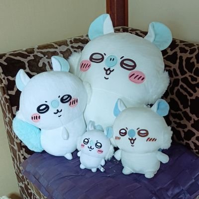 flogdaisuki6060's profile picture. カエルグッズ大好き人間！
かえるのピクルス大好きな人よろしくお願いします。
全国のカエルマニアさんと繋がりたい☆ぬいぐるみ大好きです！ナマケモノ大好き！リブちゃん🐺
良い肉の日が誕生日🐸🐸🐸マイキー推し😍
彼氏います。GLAYファン復活しました！ちいかわのモモンガ꒰՞o̴̶̷̤ᾥo̴̶̷̤՞꒱大好き♡