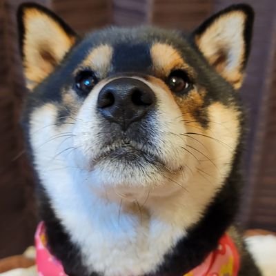 nagoさんのプロフィール画像