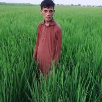 M Sohail Bashir (@msohailbashir1) 's Twitter Profile