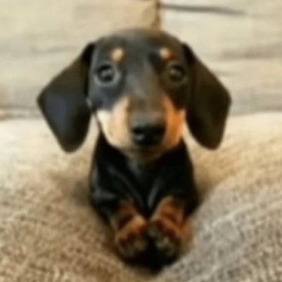 gabzinhoooo2's profile picture. depressao validação academica e futilidade | Cupom Repertório ENEM: GABZINHO