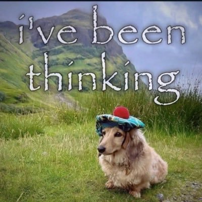 ThinbaoDiep's profile picture. 