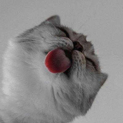 wio00_asu's profile picture. Nothing