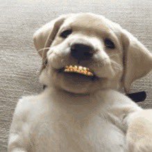 fukkyorent's profile picture. God did✝️