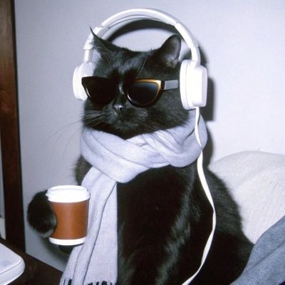 augustnovel's profile picture. let a girl fangirl in peace.. also just lots of rt of bl content