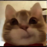 antigo mata-cráquens (@miaucaralhoz) 's Twitter Profile