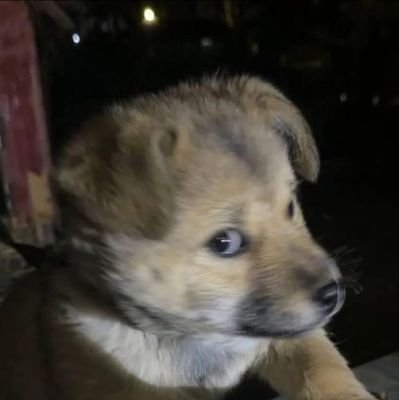 tru83200's profile picture. Handle by bot 🤖