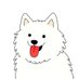 Onchain Samoyed (@onchain_samoyed) Twitter profile photo Onchain Samoyed (@onchain_samoyed) Twitter profile photo