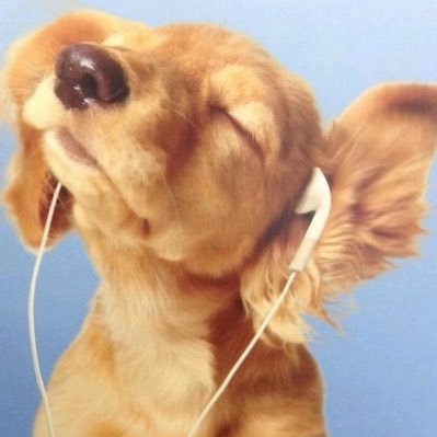 _cr1z's profile picture. i love air conditioning | i run @sweetmilkcan