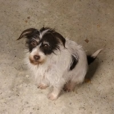 tomjohnson999's profile picture. 