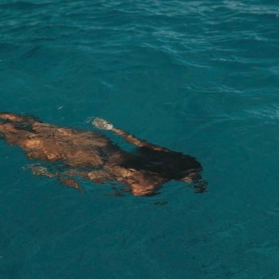 dinastime's profile picture. views