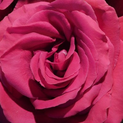 KayDeeski's profile picture. I am who I am
Fishing for free minds.
Join me on my Telegram channel where I post, among other things, books. Comments section included.