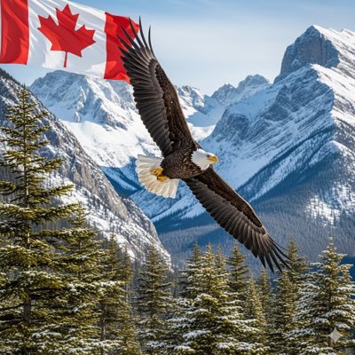 WeThePeople1867's profile picture. God ✝️, Family, Country 🇨🇦🙏🏻🦅🤲🕊️🌍All RTs/Likes/Follows ≠ endorsement. God bless Canada 🇨🇦 ⚜️ ⚜️⚜️and Canadians 🙏🏻