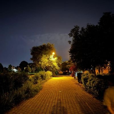 FaryalK637's profile picture. 
